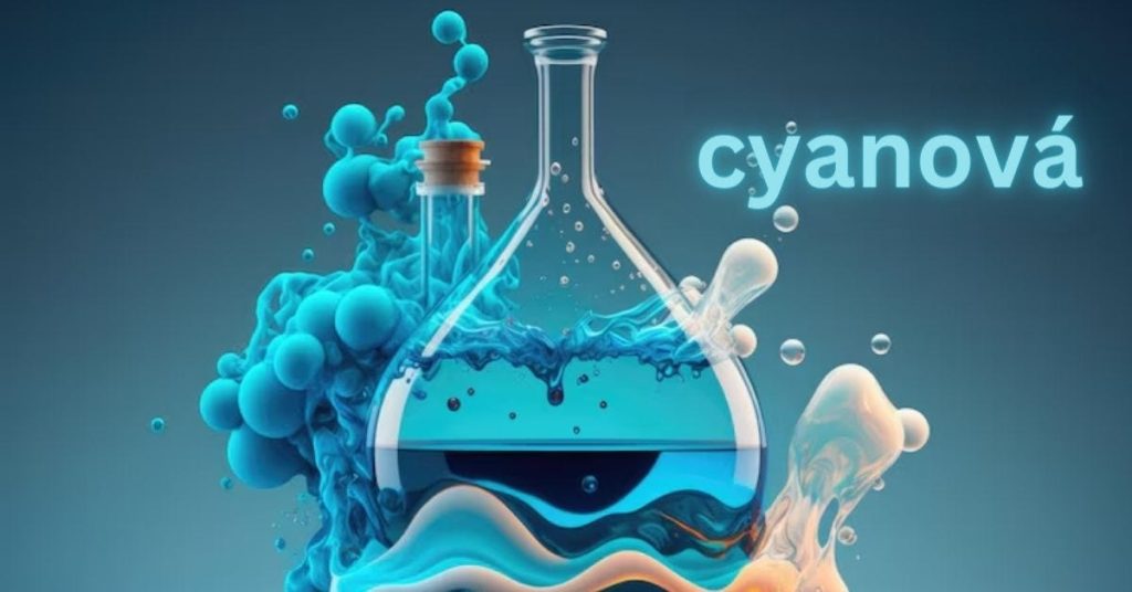 Cyanová: The Latest Era in Fashion Industry