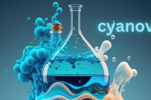 Cyanová: The Latest Era in Fashion Industry